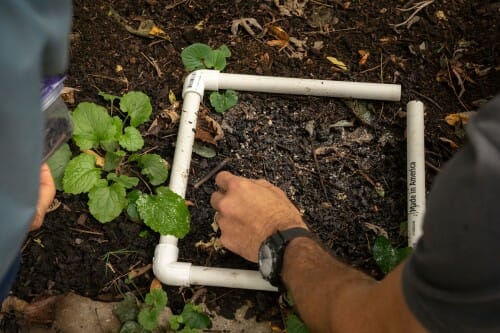 A hand reaches into the center of a square frame made of PVC that has been laid over soil on the ground.