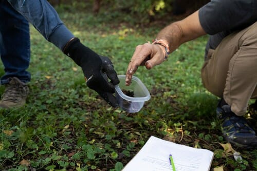 Close up on a hand holding a plastic lunch container filled with soil. Another person's hand reaches over the container.