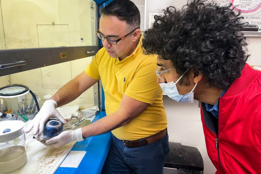 Leandro Teixeira, left, professor of pathobiological sciences in the School of Veterinary Medicine, describes his research to Nasser, as Nasser looks at a blue whale eye while visiting the Comparative Ocular Pathology Laboratory of Wisconsin, or COPLOW.