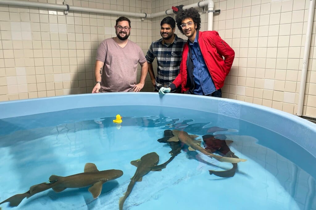 UW–Madison graduate student Joe Gallant, postdoctoral research Gihan Gunaratne and Nasser stand behind a tank of nurse sharks in the research lab of Aaron LeBeau, associate professor in the Department of Pathology and Laboratory Medicine. The sharks have unique immune systems that could contribute to future treatments for coronaviruses and cancer.