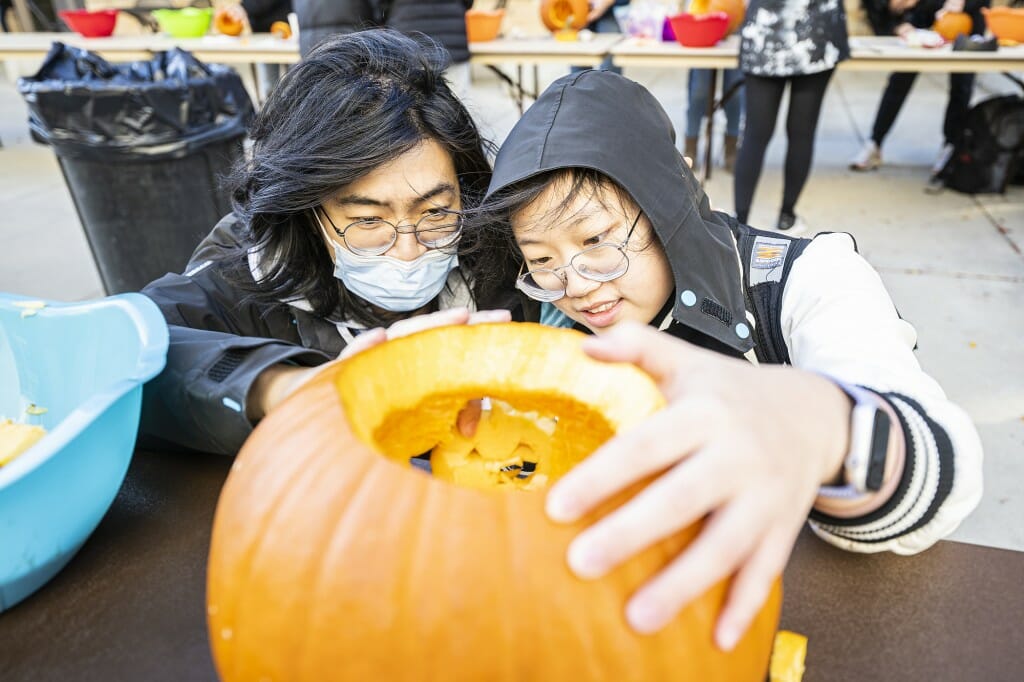 A man and a woman cut into a pumpkin, carving a face.