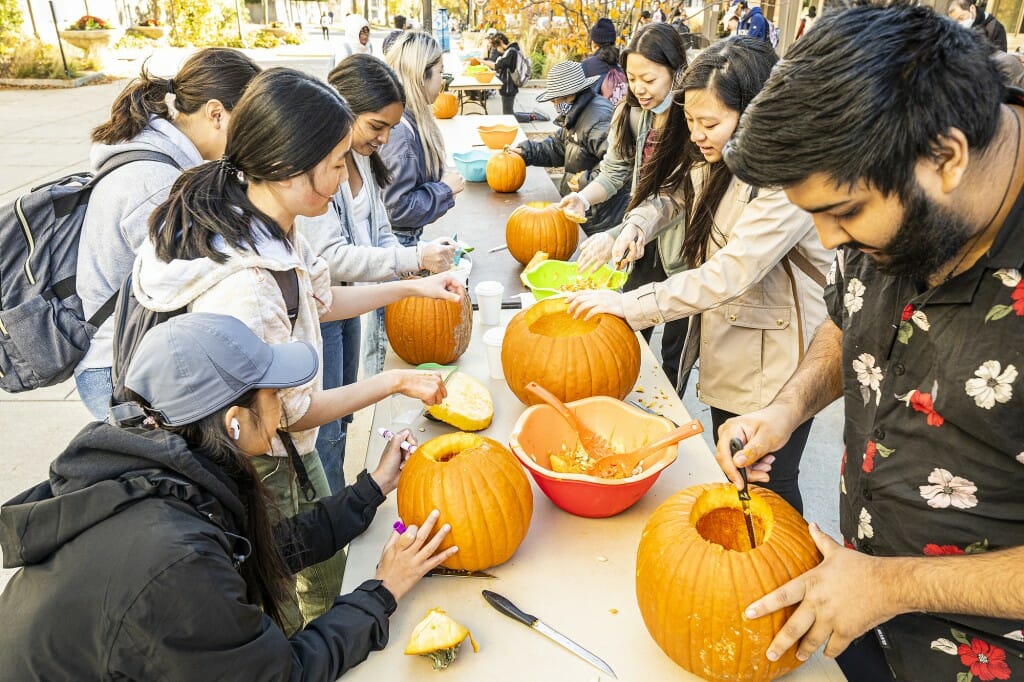 Students on either side of a long table cut into pumpkins.