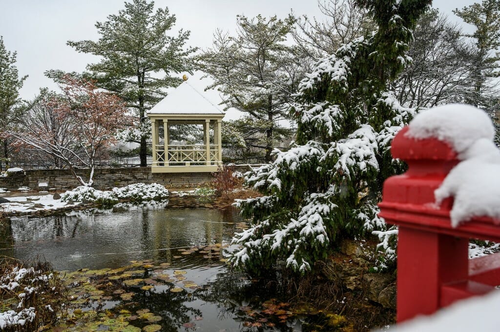 Snow dusts the red bridge railing and the roof of the gazebo in the Pond Garden of Allen Centennial Gardens.