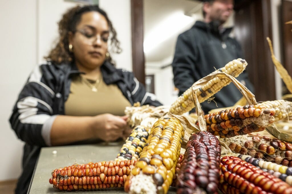 A woman holds a group of corn cobs all braided together.