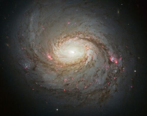 Hubble image of the spiral galaxy NGC 1068
