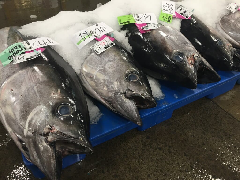 A commercial tuna fishing boat, Oahu, Hawaii, USA - SuperStock