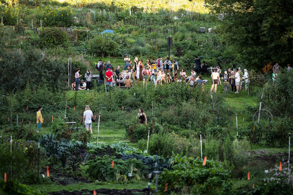 A wide shot of Eagle Heights Community Gardens at harvest time. A crowd is gathered halfway up the hill for a picnic celebration among the garden plots.