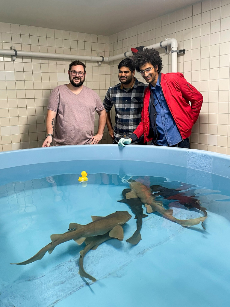 Joe Gallant, Gihan Gunaratne and Latif Nasser look into a tank of nurse sharks.