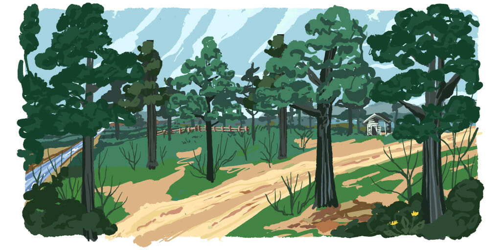 A drawing of a forest, with tall trees and grasses.