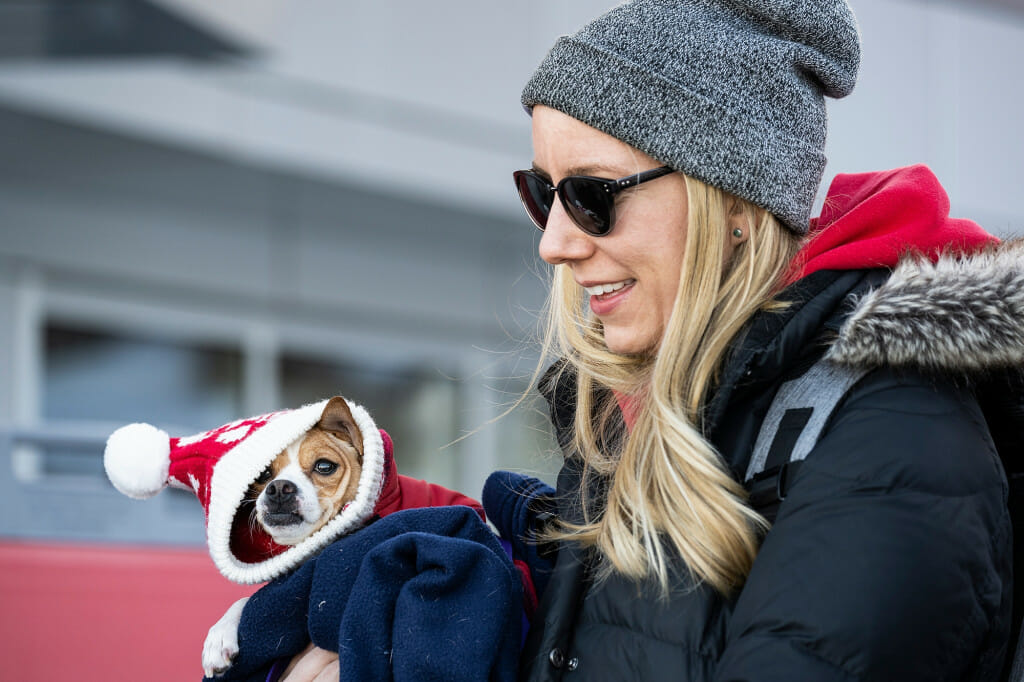 Geneva Maule's dog, Riley, a three-year-old Chihuahua mix, doesn't seem to be feeling the vibe during a Family Fun Day event. Maule is a 2009 UW–Madison alumna.