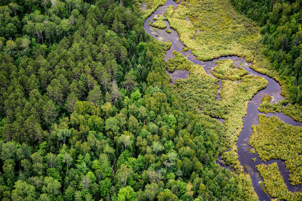 An aerial view of a running stream surrounded on both sides by green forest.