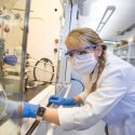 Canan Sener, scientist in the Great Lakes Bioenergy Research Center, prepares an experiment in her lab. Sener’s research focuses on turning plant material into valuable products.