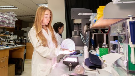 A woman in a white lab coat holds a white skull shaped thing.