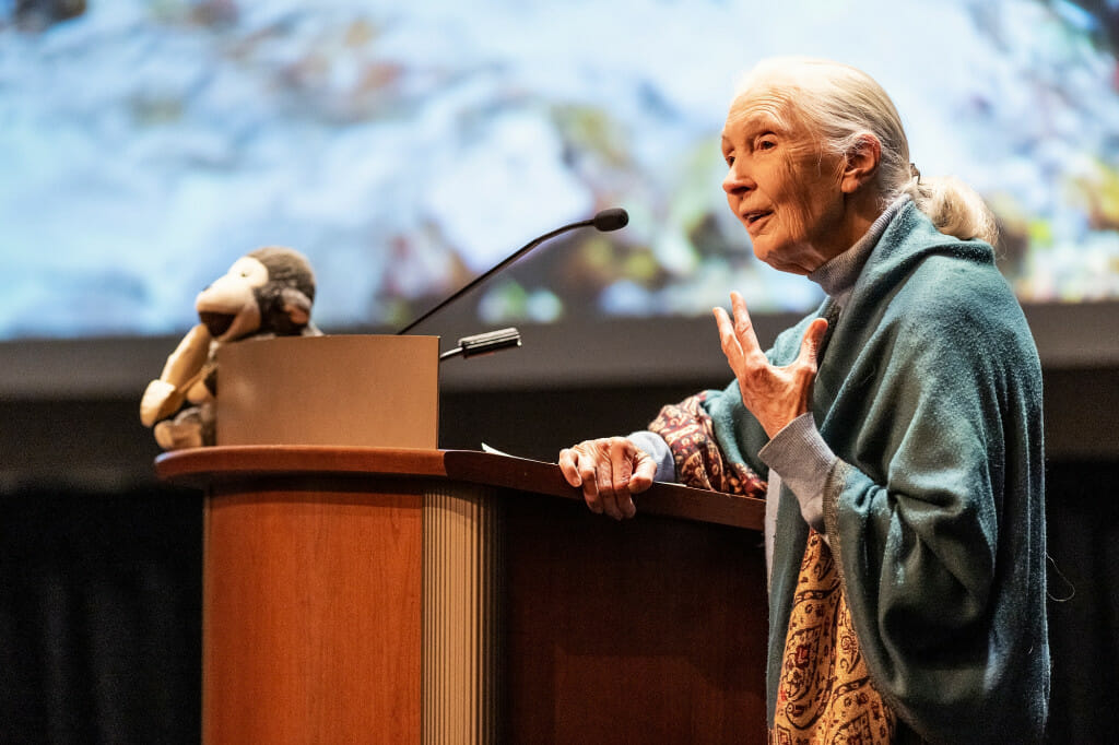 Jane Goodall gestures as she speaks at the podium.