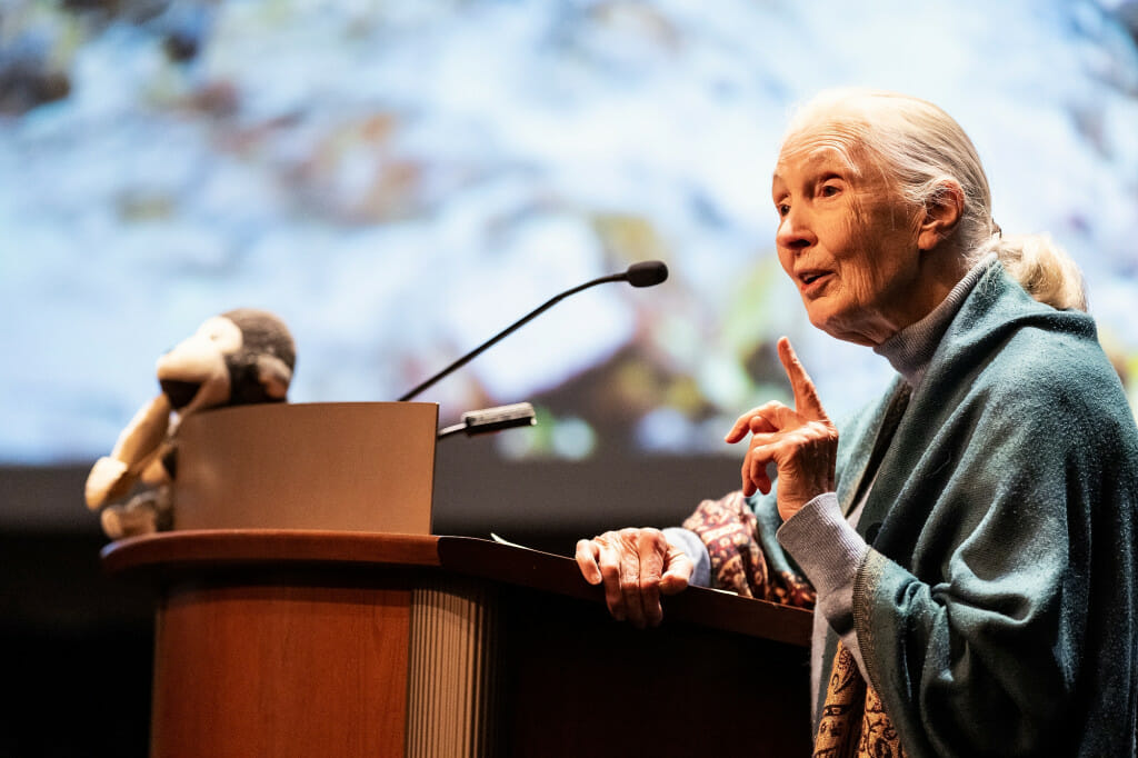 Jane Goodall, a woman with long, gray hair pulled back in a ponytail, gestures as she speaks at a podium.