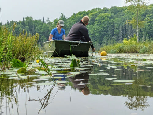 Two people sit in a dark green jon boat on a lake. The lake surface is covered in lily pads. Beyond the boat, the lakeshore is lined with tall trees.