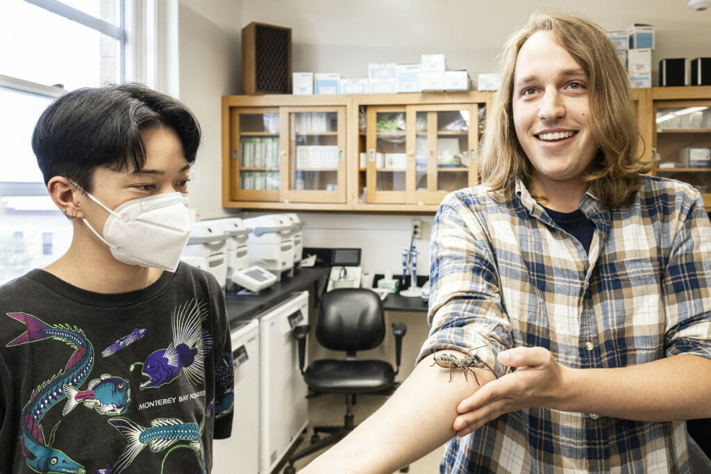 Imbler looks at a whip scorpion (Uropygi) with PhD student Benjamin Klementz (right) in the lab of Prashant Sharma, associate professor in Department of Integrative Biology housed in Birge Hall.
