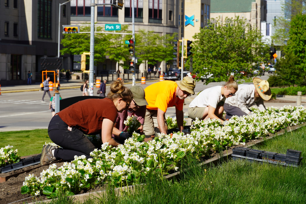 Four people kneel on a hillside and plant flowers.