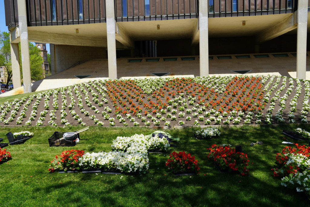 Red flowers are planted within the W outline, white around them.