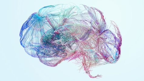 Rendering showing neural pathways in a human brain.