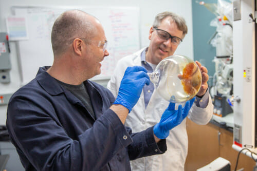 Troy Runge, Professor in the Biological Systems Engineering in CALS, and Steve Karlen, observe a chemical in a round glass bottom vial in his lab at the WIsconsin Energy Institute.