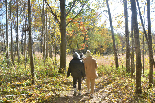 Two people walk through a wooded park.