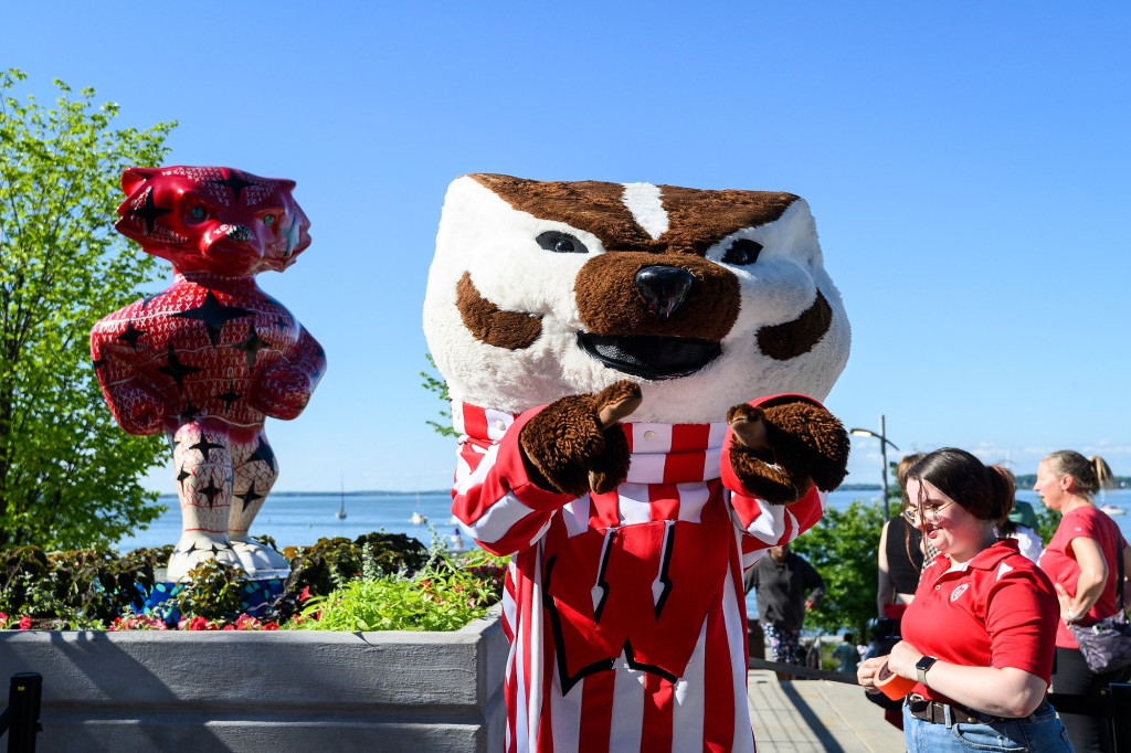 Bucky Badger poses in front of a new red, white and blue Bucky on Parade statue outside on the Terrace.