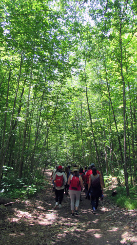 A group of college students walk together down a dirt access road in a young forest on a summer day.