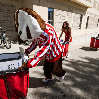 Bucky Badger pushes a red cart outside a residence hall.