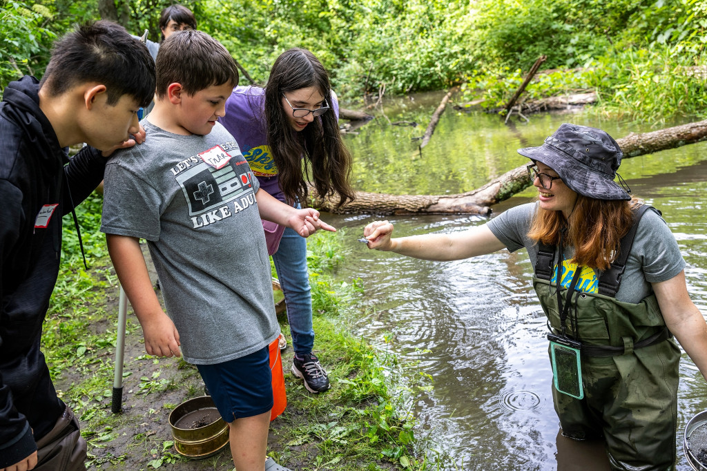 Kids wade into a creek and gather specimens iwth a net.