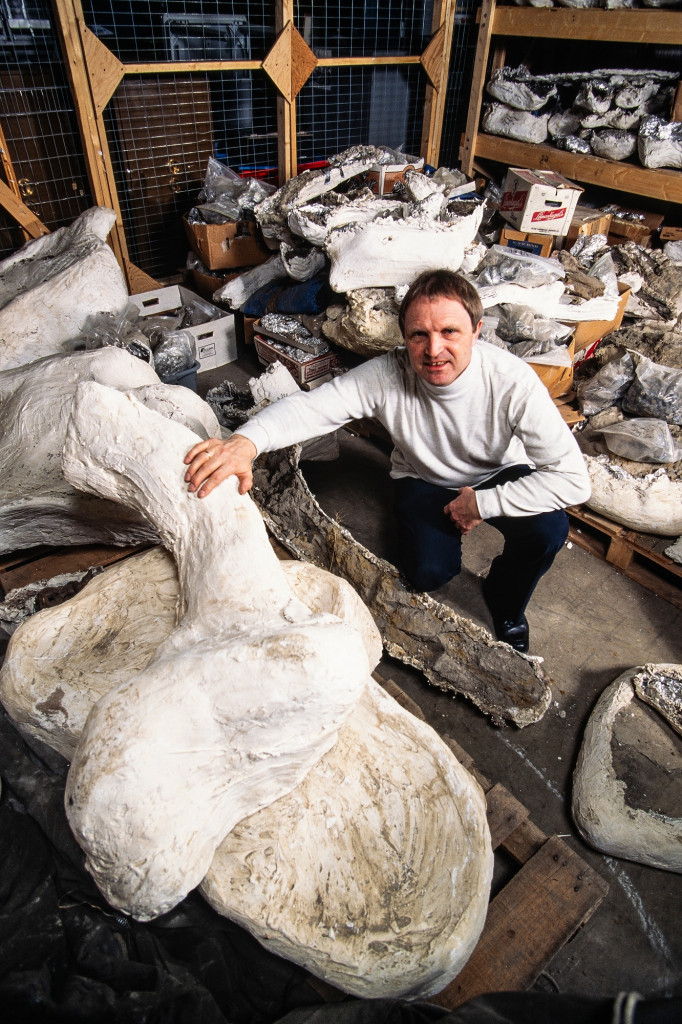 Klaus Westphal crouches among large dinosaur bones assembled on the floor and shelves in a museum storage room.