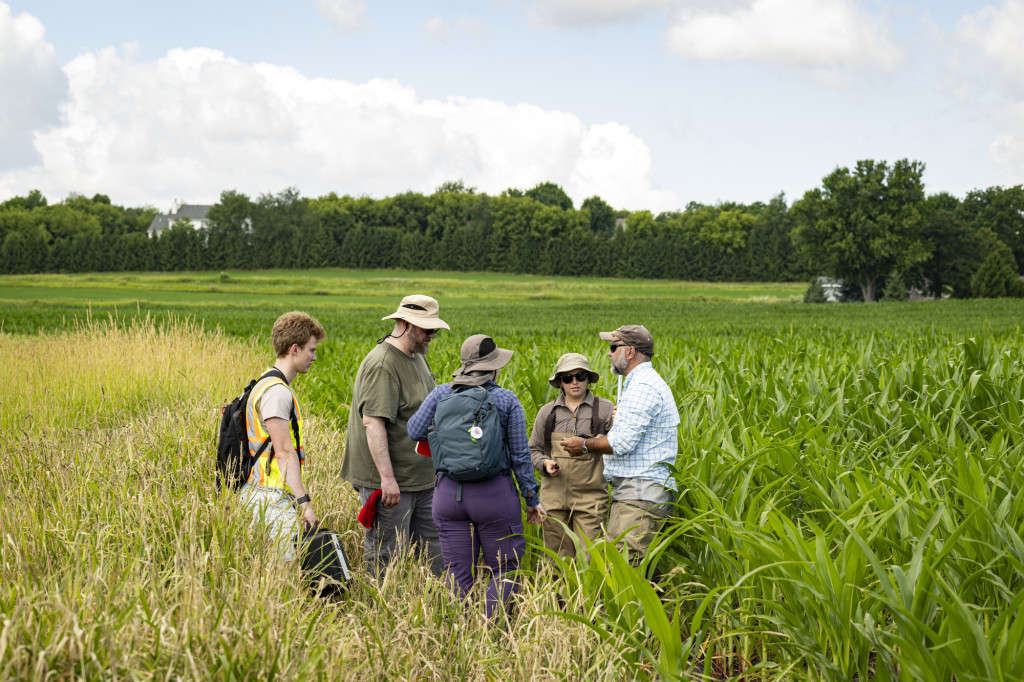 A group of people stand in a field talking.