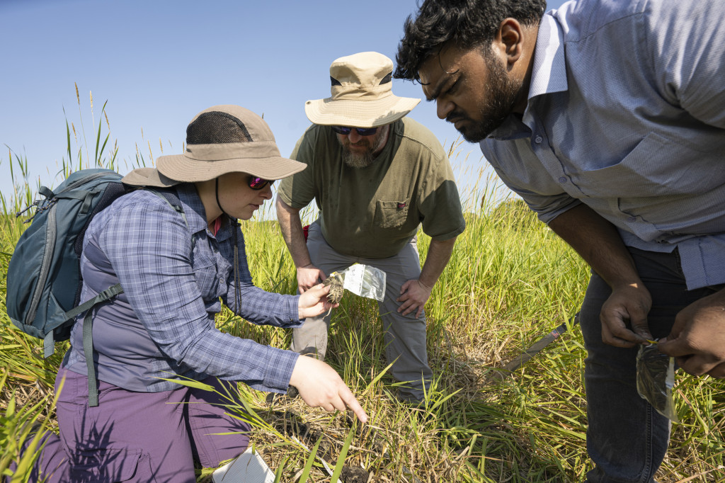 Students gather around a spot in a marshy field, looking at soil.