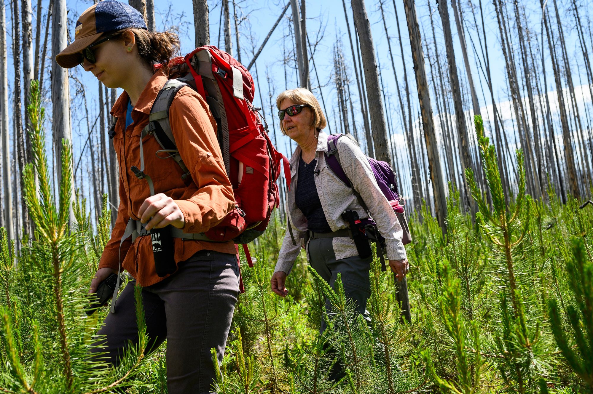 A woman in an orange shirt and red backpack and a woman in a white shirt and purple backpack walk through waist-high trees