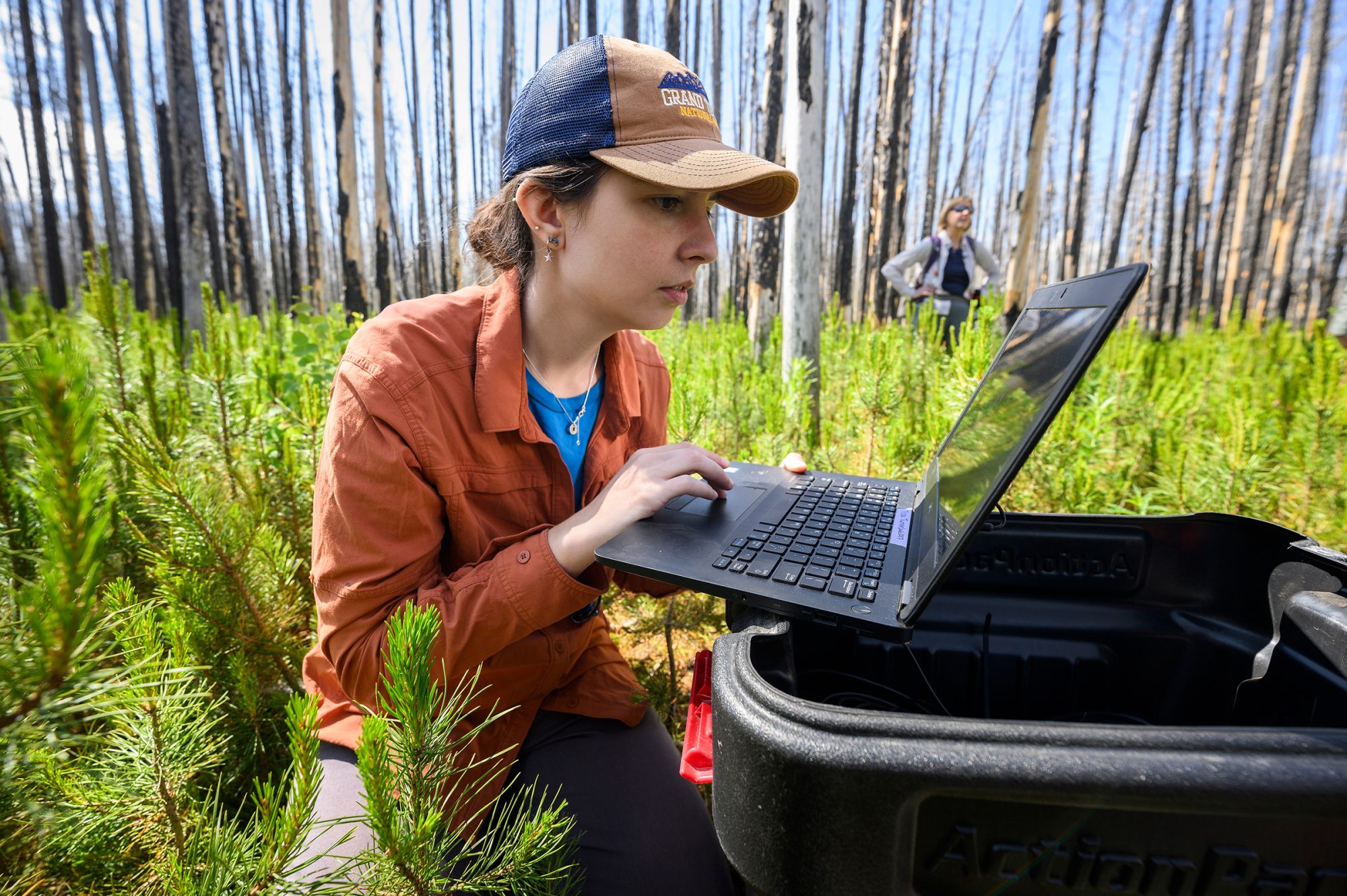 A woman sits amidst short tree seedlings and looks at a computer screen sitting atop a plastic tub