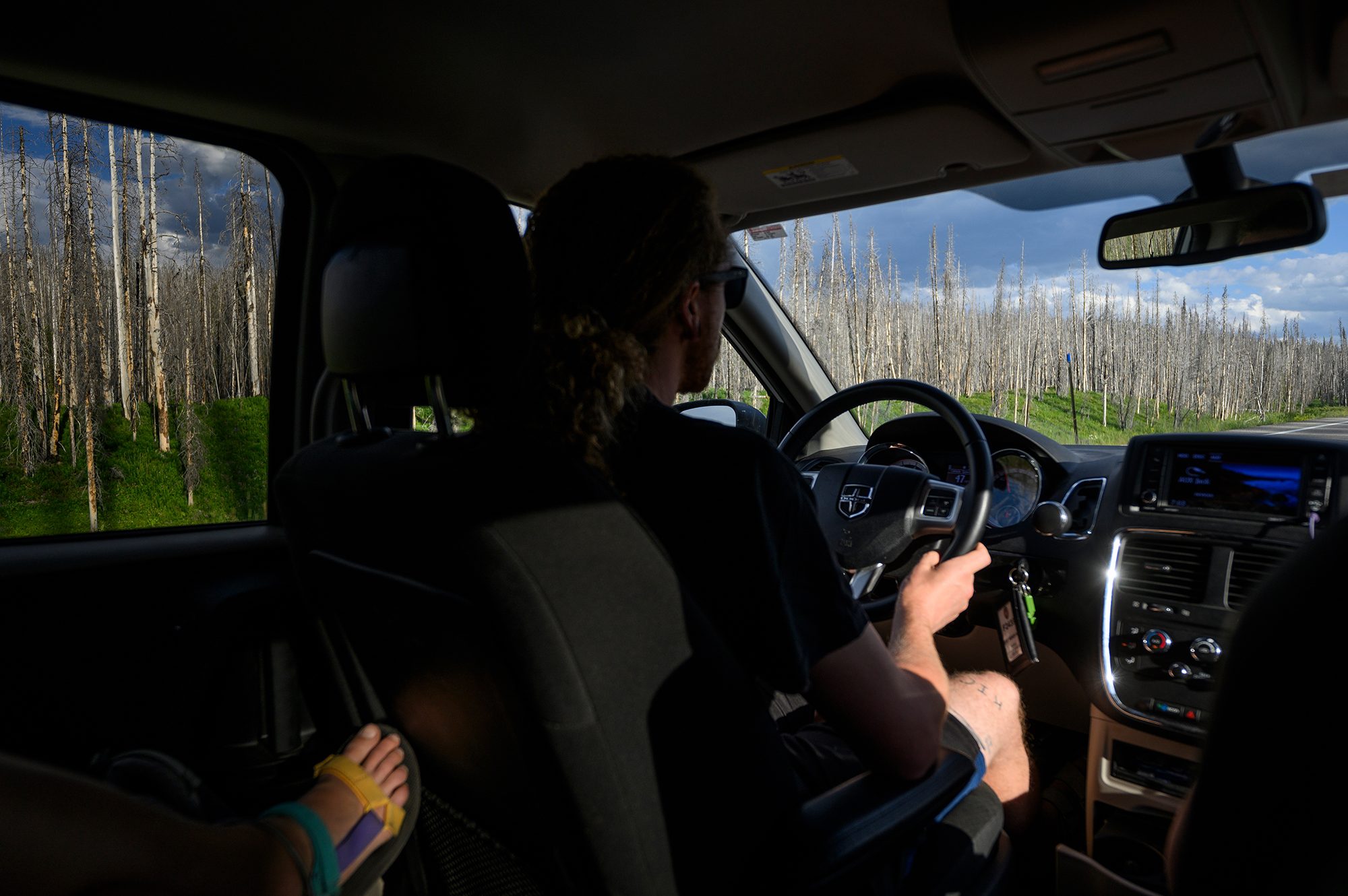 Lookin gout the windows from the back seat of the minivan the researchers drive, a stand of burned lodgepole pine are illuminated by evening sunlight. Timon drives the van and the edge of someone's sandal is catches a patch of sunlight in the car dark van.
