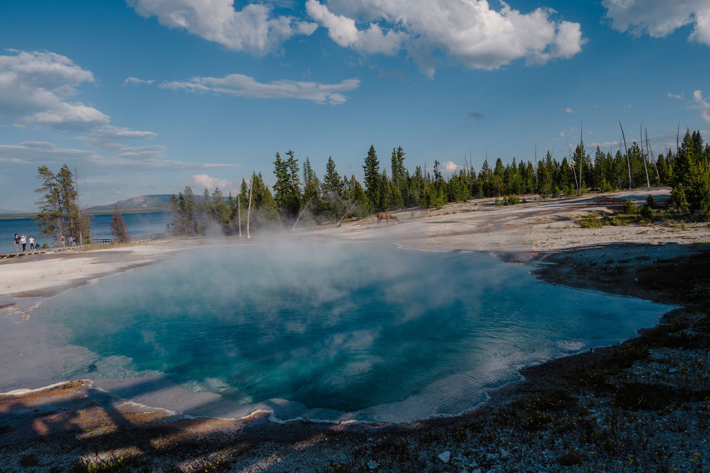 Tomorrow’s Yellowstone | | UW–Madison