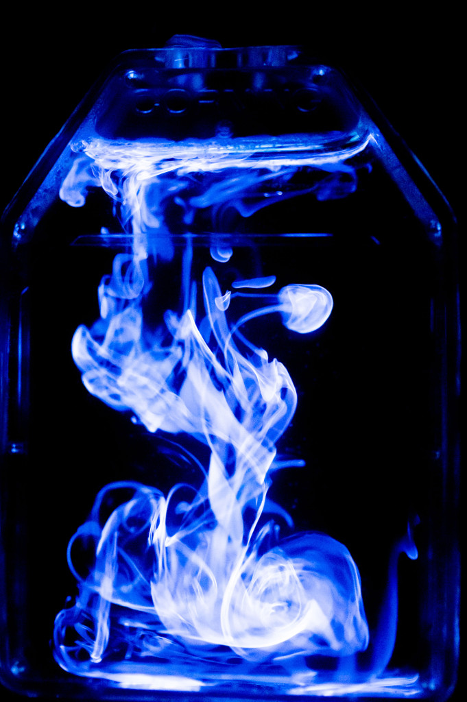 In a vertical photo, swirls that resemble blue and white smoke, eddy and whirl inside a clear container.