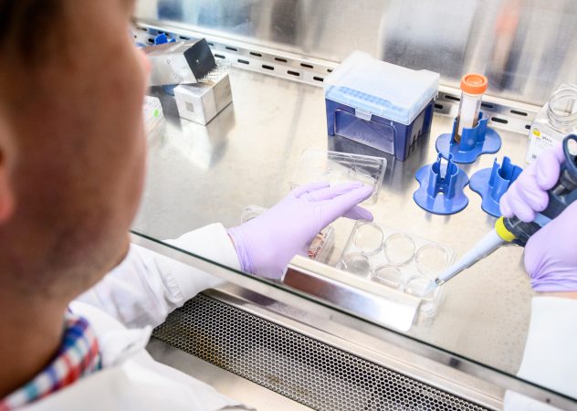 In 2018, a scientist works with stem cell cultures at the iPSC Reprogramming and Human Stem Cell Gene Editing Service at the Waisman Center. The service offers CRISPR/Cas9 gene editing.