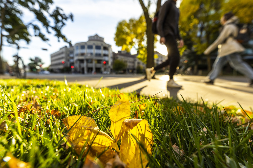 A close shot of yellow leaves resting on green grass as blurred people pass in the background. Farther in the background is the Wisconsin School of Business building.