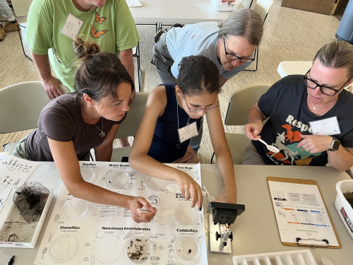 In a photo taken from above, a woman leans in to see the work of three women seated at a table. The table has a microscope next to a large piece of paper with labels and descriptions of different types of invertebrates. The group is looking at a specimen under the microscope.