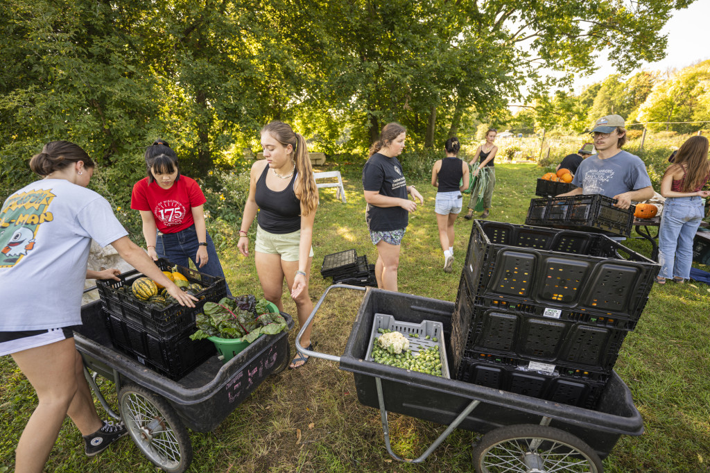 Students sort through the gathered harvest.