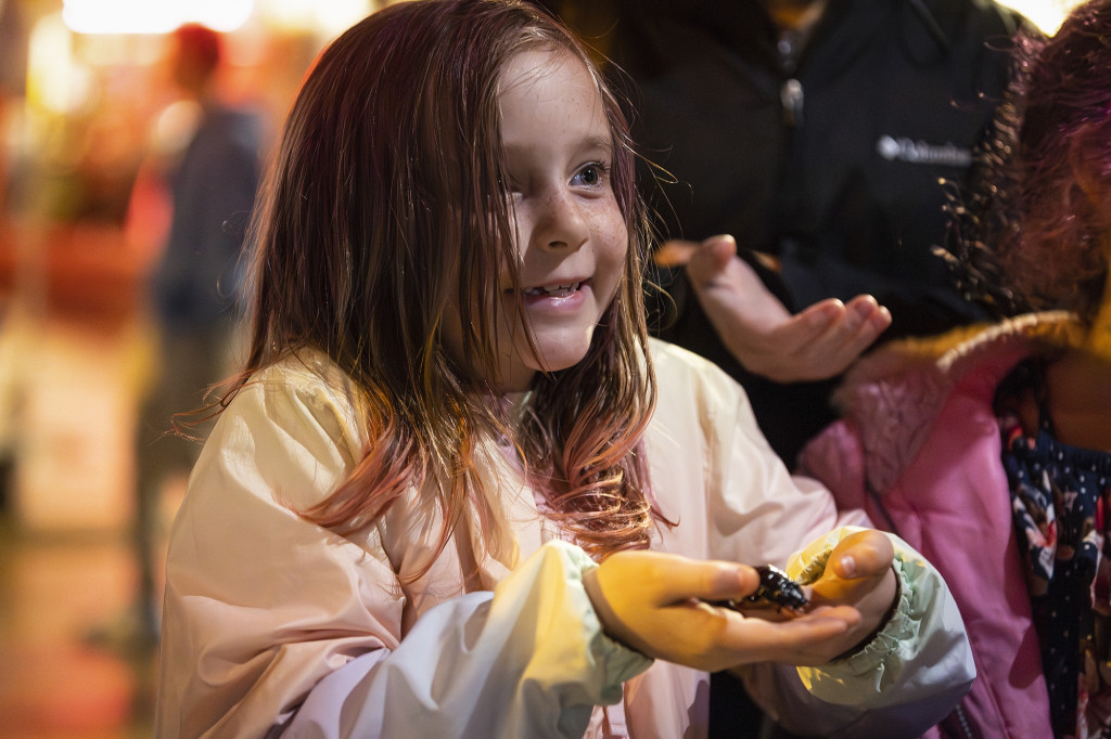 A young girl tentatively cups a cockroach in her hands.