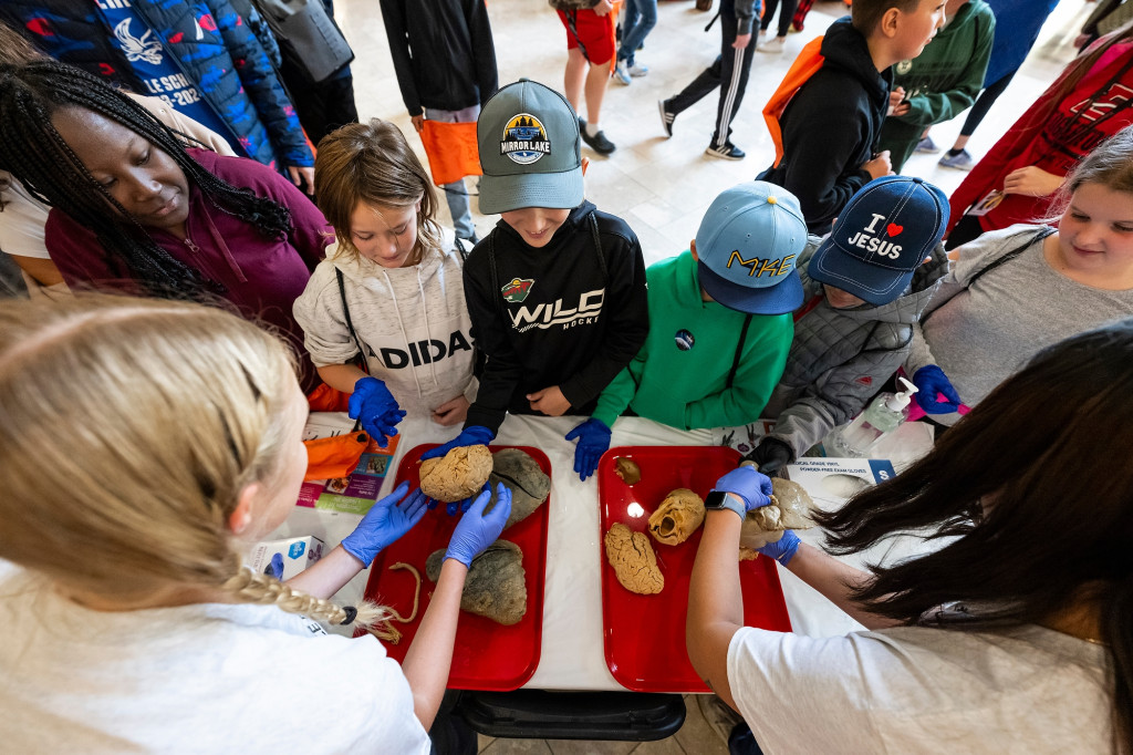 Kids touch some human organ models.