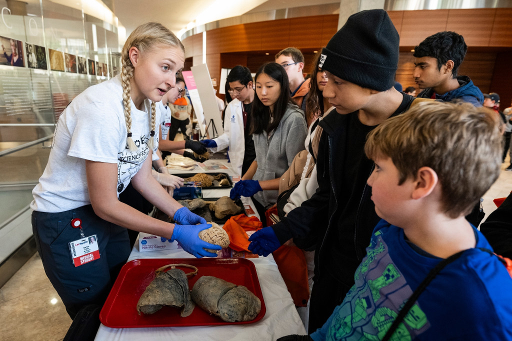 A young woman shows some organ models to children.