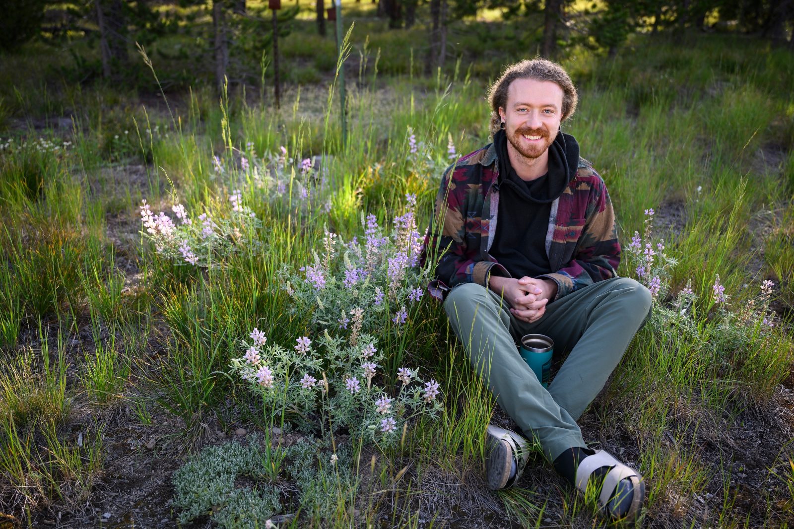 A man with curly hair and a paid jacket sits cross-legged amidst the lupine and grasses