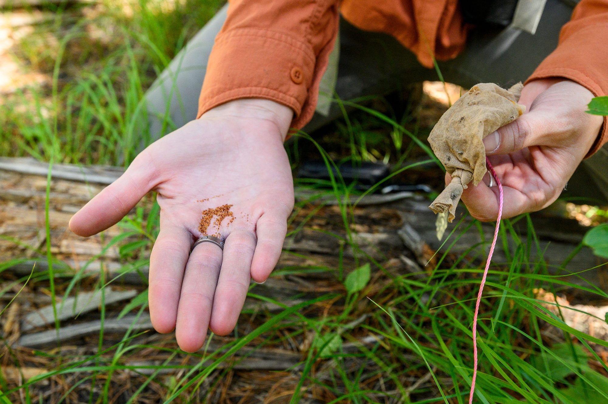 A woman holds tiny beads of resin in one hand while the other hand holds a stocking that had held the resin underground