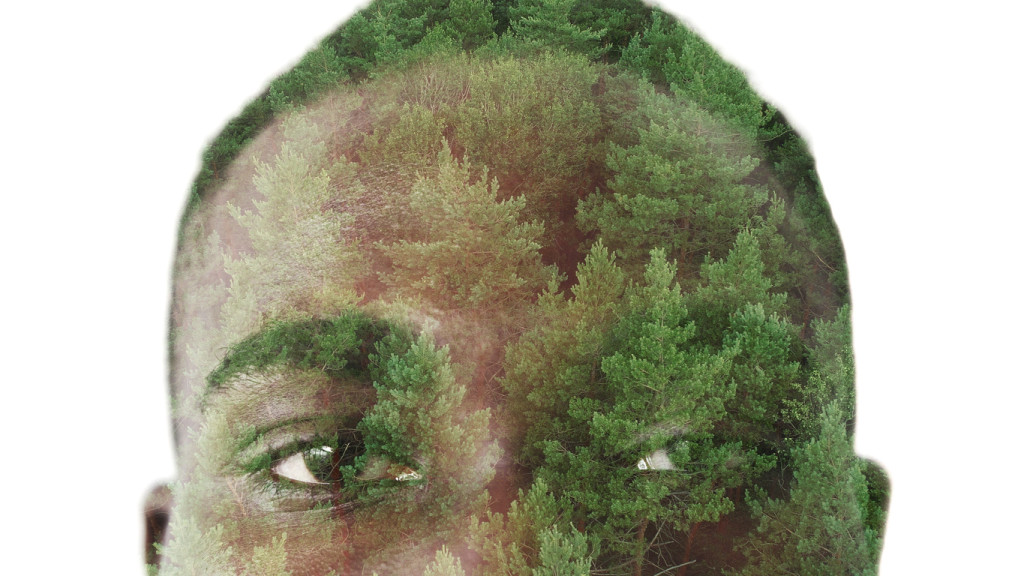 In this artist's rendering, a photo of a forest is superimposed on a young man's face.