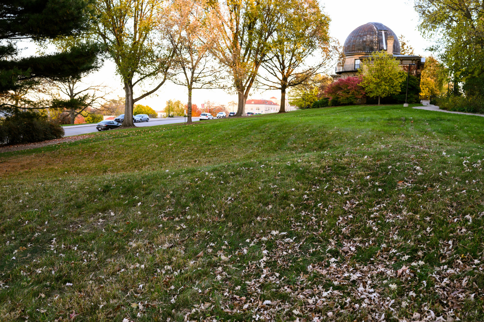 A view of the green grass and trees on Observatory Hill in front of Washburn Observatory. The ground rises and falls along the contours of an ancient effigy mound