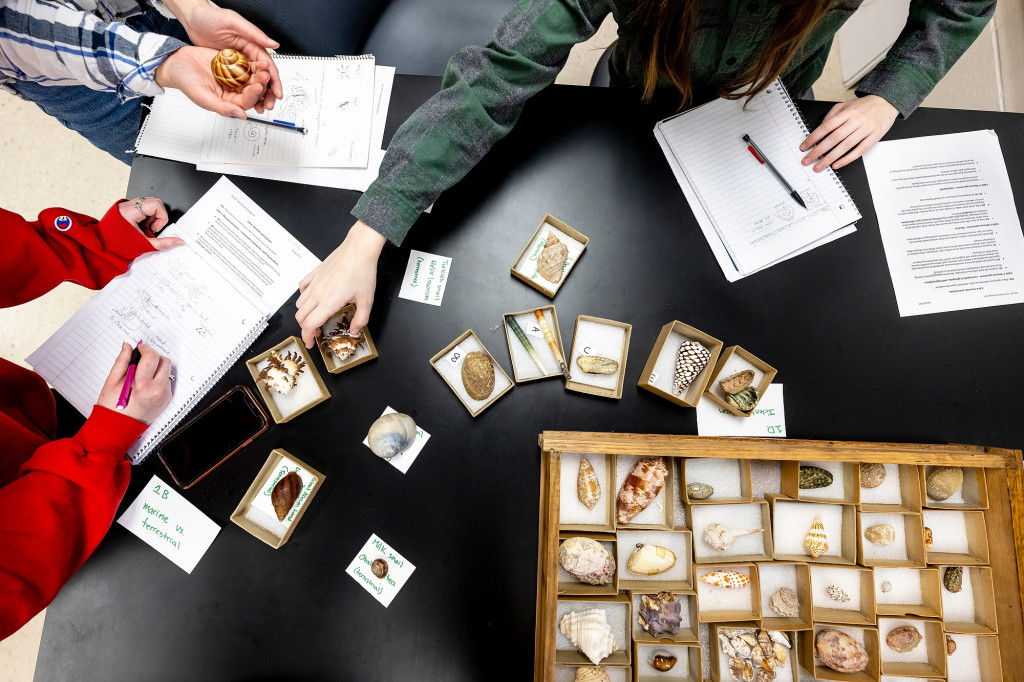 An overhead photo shows a wooden box of seashell specimens on a black table top. The hands of students taking notes and reaching for shells enter the frame from the sides of the table.